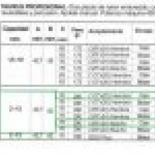 PORTABROCAS DE CIERRE RAPIDO TAURUS PROFESIONAL LDP13