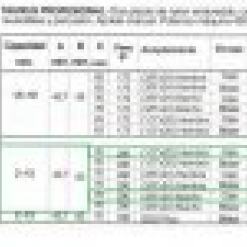 PORTABROCAS DE CIERRE RAPIDO TAURUS PROFESIONAL LDP13