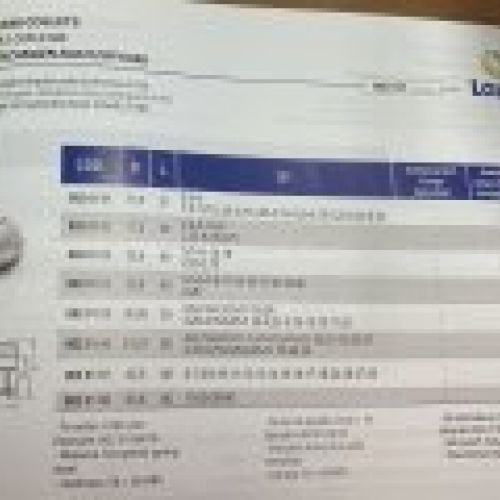 Pinza 1